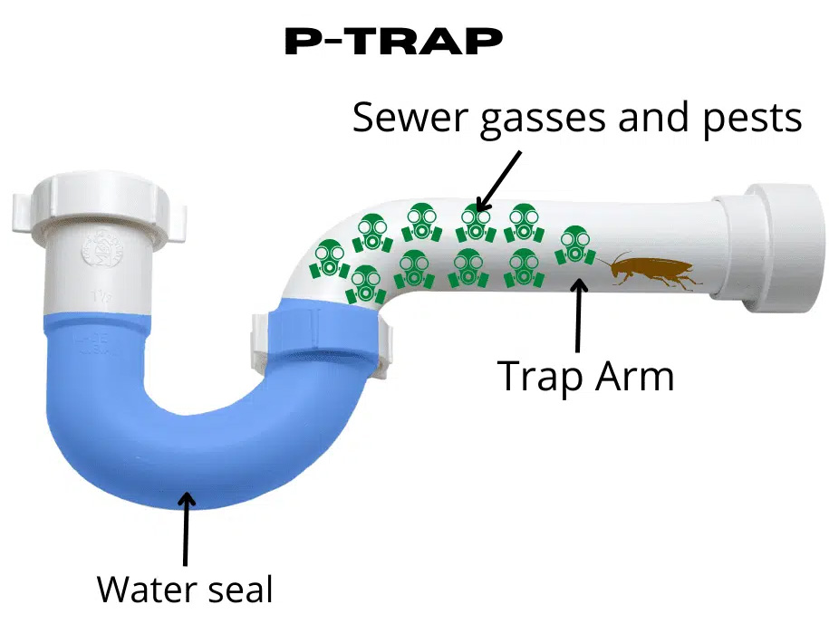 Correctly Installed P Trap Graphic