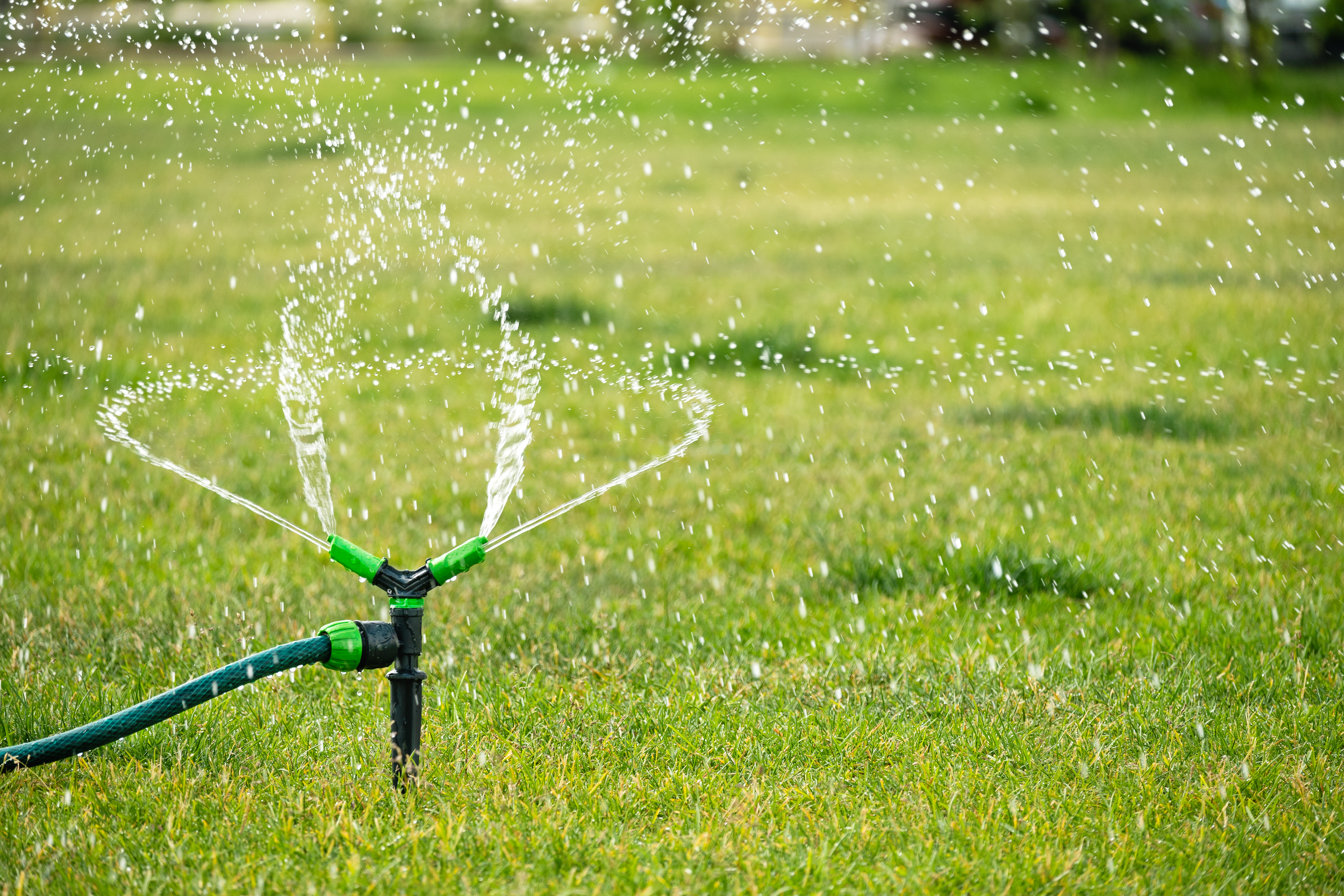 Green lawn being irrigated